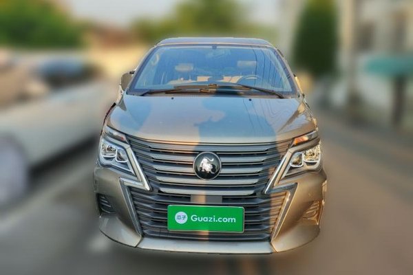 FORTHING Lingzhi 2023, 39300 км, за 5837 USD