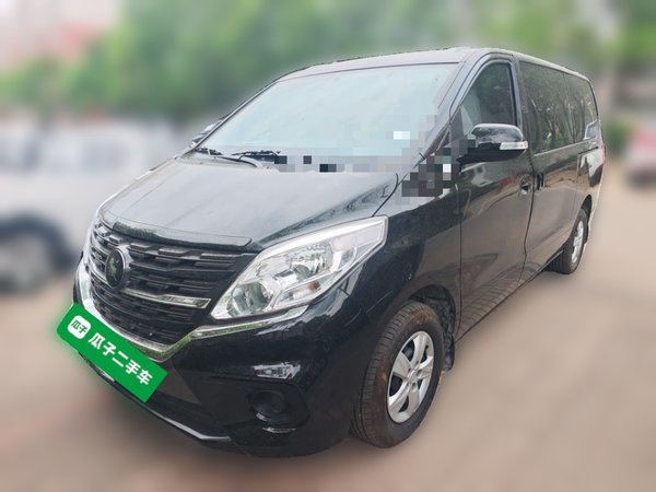 FORTHING Lingzhi PLUS · 2024 год