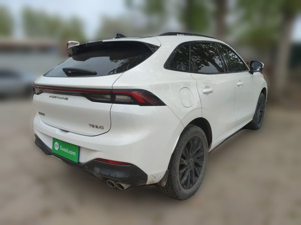 FORTHING T5 EVO 2021, 46800 км, за 8673 USD - фото 6