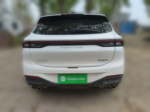 FORTHING T5 EVO 2021, 46800 км, за 8673 USD
