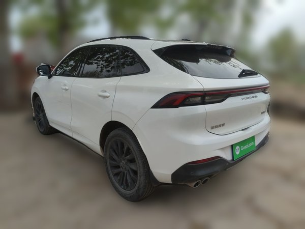 FORTHING T5 EVO 2021, 46800 км, за 8673 USD