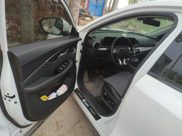 FORTHING T5 EVO 2021, 46800 км, за 8673 USD - фото 19