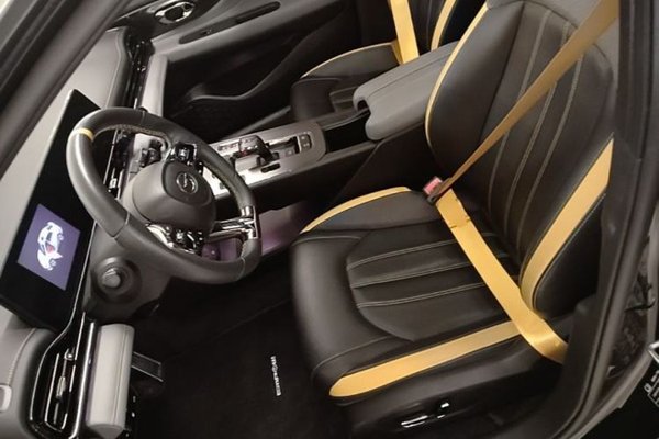 GAC Trumpchi EMPOW 2023, 20200 км, за 11321 USD - фото 24