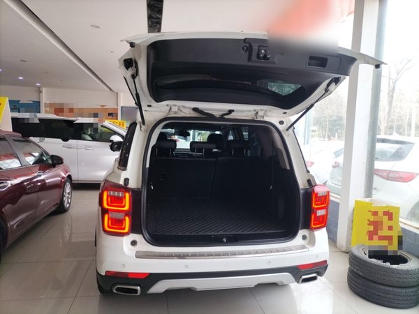 GAC Trampchi GS8 2017, 128300 км, за 9081 USD - фото 18