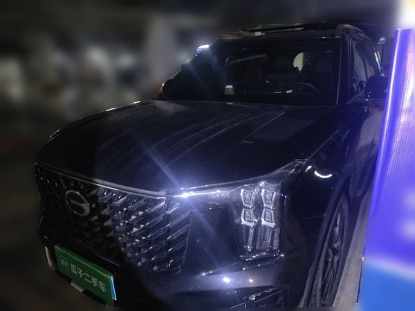 GAC Trumpchi GS8 · 2024 год