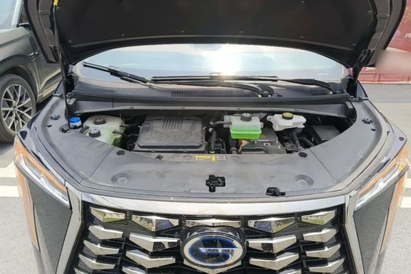 GAC Trumpchi Xiangwang M8 2025, 21900 км, за 46119 USD - фото 24