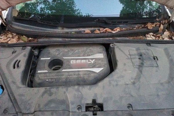 Geely Auto Emgrand GS 2019, 52000 км, за 5268 USD - фото 21