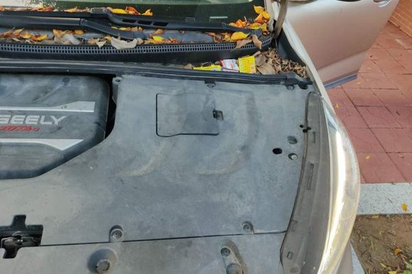 Geely Auto Emgrand GS 2019, 45700 км, за 5120 USD - фото 22
