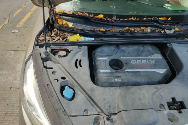 Geely Auto Emgrand GS 2019, 45700 км, за 5120 USD - фото 23