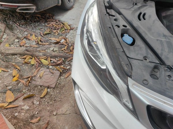 Geely Auto Emgrand GS 2019, 49900 км, за 5900 USD - фото 7