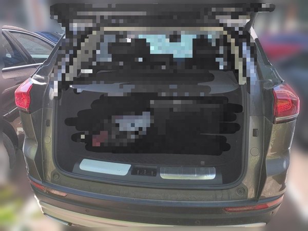 Geely Auto Emgrand X7 Sport 2020, 93300 км, за 7036 USD - фото 16