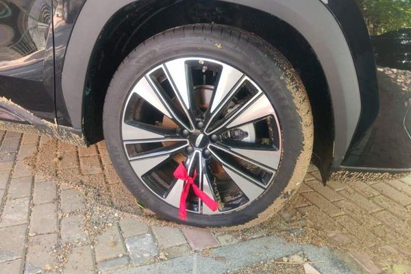 Geely Auto FX11 2025, 500 км, за 16210 USD