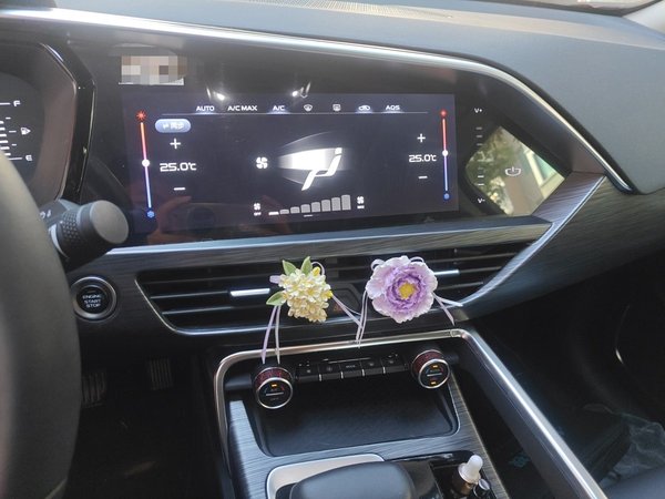 Geely Auto Monjaro 2020, 46000 км, за 7863 USD - фото 14