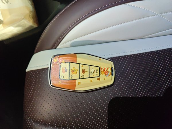 Geely Auto Monjaro L 2021, 89800 км, за 11418 USD - фото 9