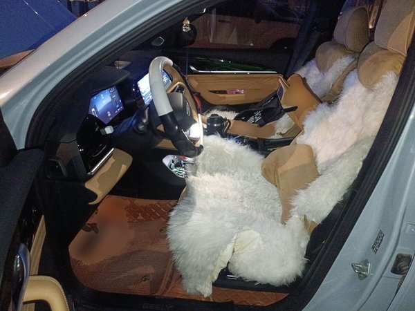 Geely Auto Monjaro L Extended Range Electric Version 2022, 33100 км, за 16623 USD - фото 15