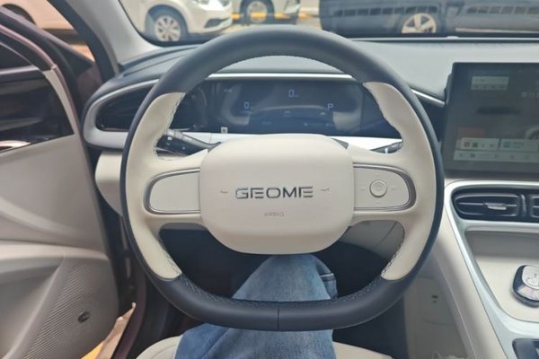 Geely Galaxy Geome 2025, 7100 км, за 10598 USD - фото 14