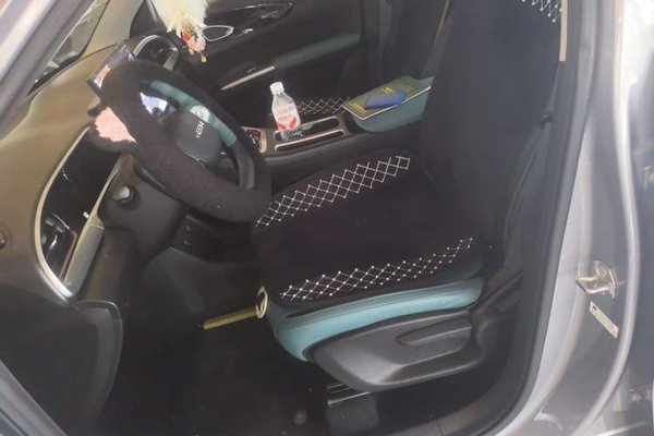 Geely Galaxy Geome 2025, 11900 км, за 9599 USD - фото 12
