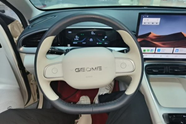 Geely Galaxy Geome 2025, 8400 км, за 10526 USD - фото 13