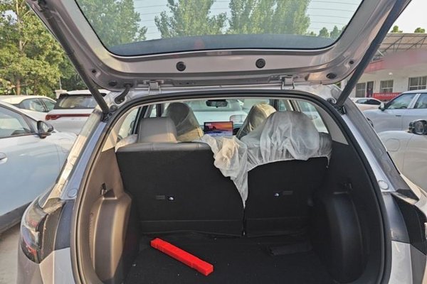 Geely Galaxy Geome 2026, 100 км, за 11946 USD - фото 22