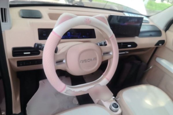 Geely Galaxy Panda 2024, 16200 км, за 5771 USD - фото 14
