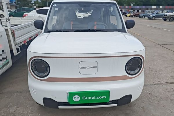 Geely Galaxy Panda 2024, 100 км, за 7089 USD