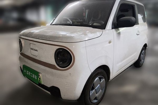 Geely Galaxy Panda · 2024 год