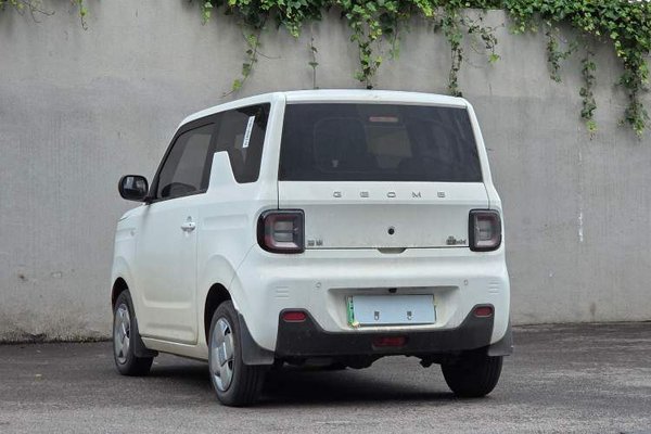 Geely Galaxy Panda 2024, 13200 км, за 6729 USD - фото 19