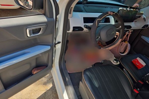 Geely Galaxy Panda 2024, 5900 км, за 6307 USD - фото 19