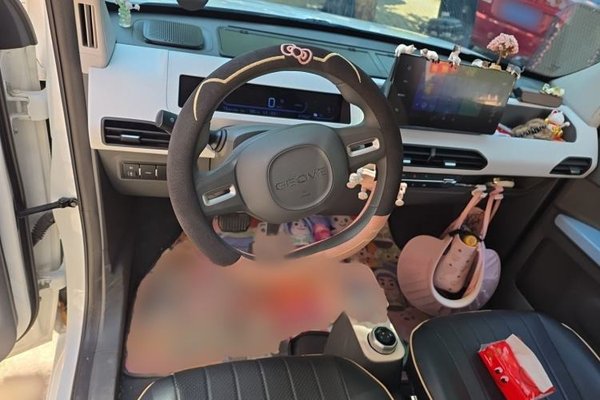Geely Galaxy Panda 2024, 5900 км, за 6307 USD - фото 9