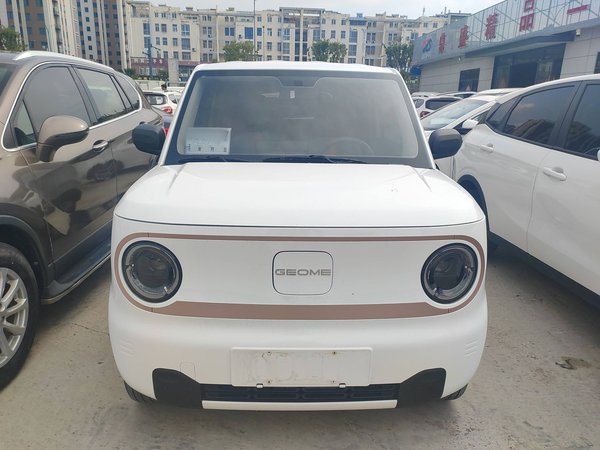 Panda 2024 Panda Mini 200km Endurance Bear, 2024 года