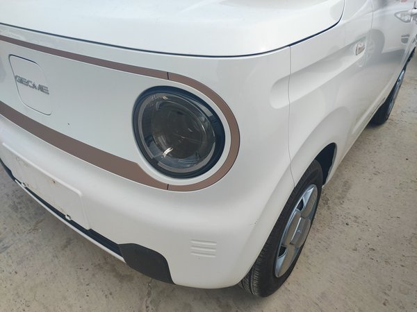 Panda 2024 Panda Mini 200km Endurance Bear, 2024 года