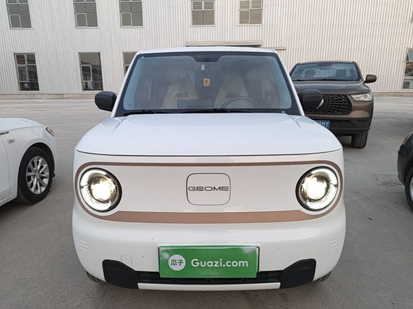 Geely Galaxy Panda · 2024 год