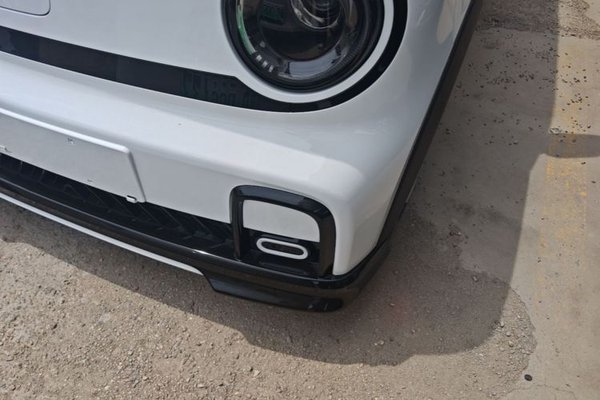 Geely Galaxy Panda 2025, 100 км, за 7873 USD - фото 9