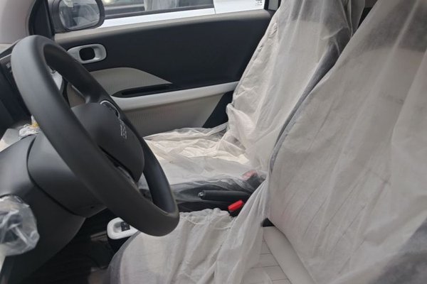 Geely Galaxy Panda 2025, 100 км, за 7873 USD - фото 18