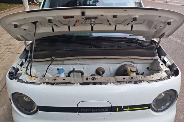 Geely Galaxy Panda 2025, 14800 км, за 5322 USD - фото 25