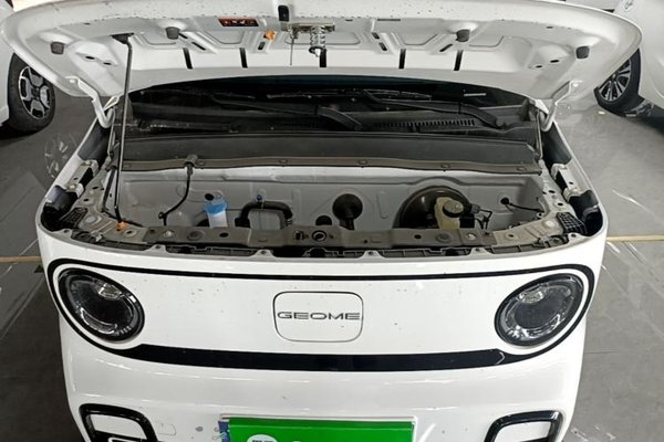 Geely Galaxy Panda 2025, 4600 км, за 7790 USD - фото 24