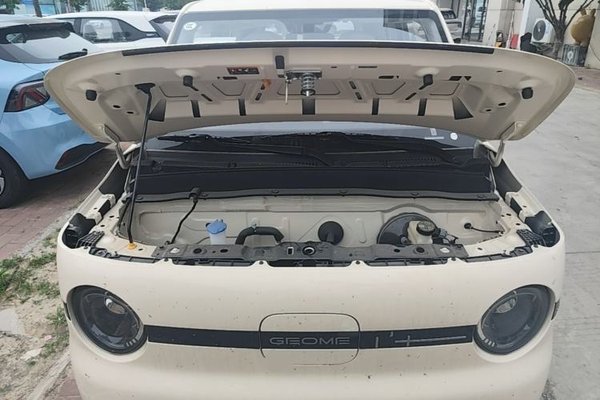 Geely Galaxy Panda 2025, 100 км, за 7106 USD - фото 8