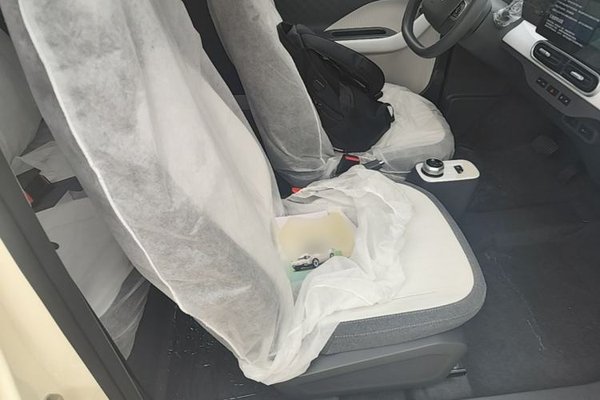 Geely Galaxy Panda 2025, 100 км, за 7106 USD - фото 20