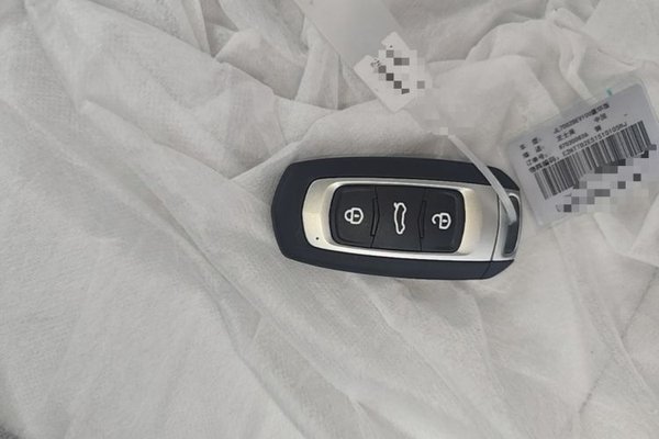 Geely Galaxy Panda 2025, 100 км, за 7106 USD - фото 24