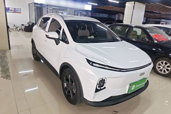 Geometry E Firefly 2024, 53500 км, за 9514 USD