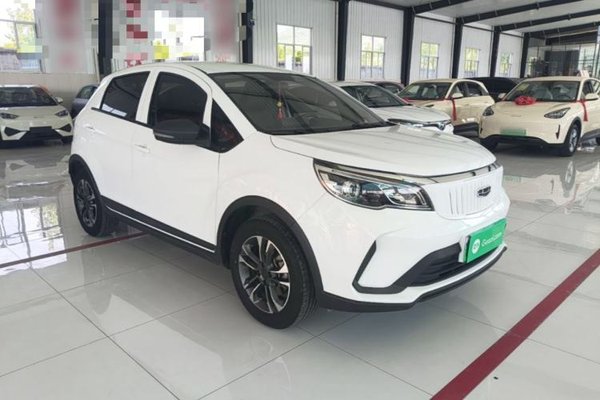 Geometry EX3 Kung Fu Cow 2021, 51000 км, за 6893 USD