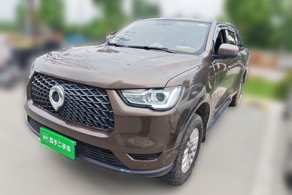 Great Wall Poer · 2019 год