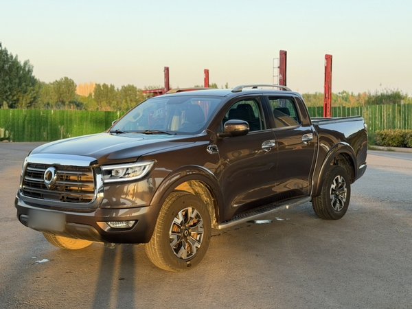 Great Wall Poer · 2019 год