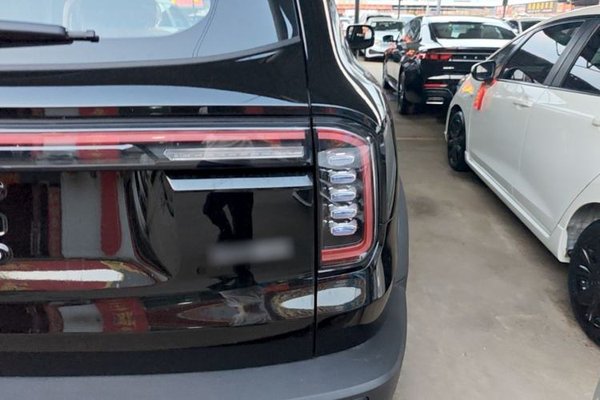 Haval DARGO 2026, 100 км, за 16013 USD - фото 9