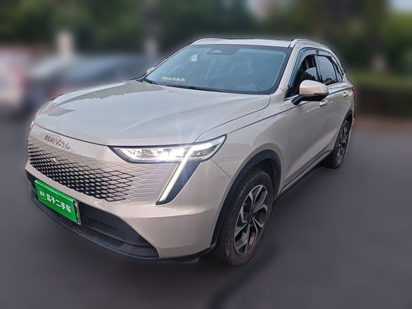 Haval Fierce Dragon Max · 2023 год