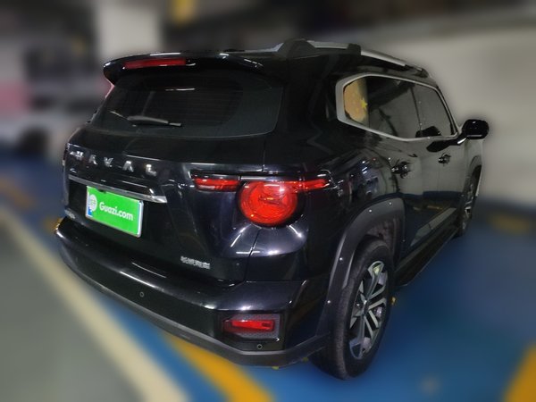 Haval H Dog 2023, 47400 км, за 0 USD - фото 6