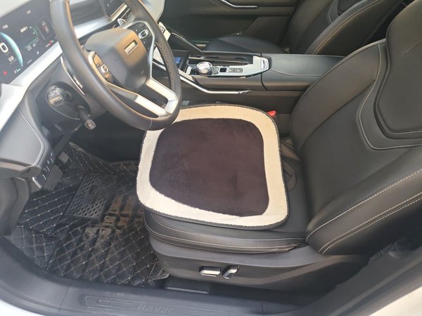 Haval H6 2021, 31500 км, за 10176 USD - фото 12