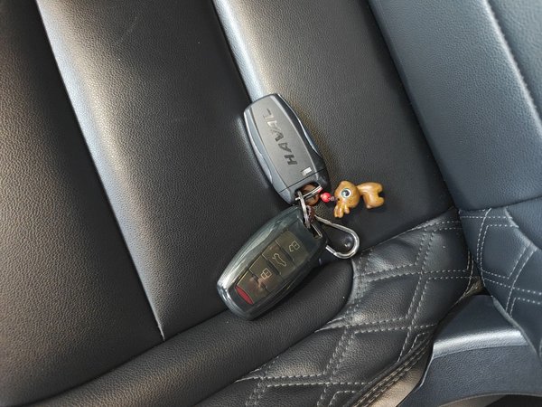 Haval H6 2021, 55599 км, за 9485 USD - фото 12