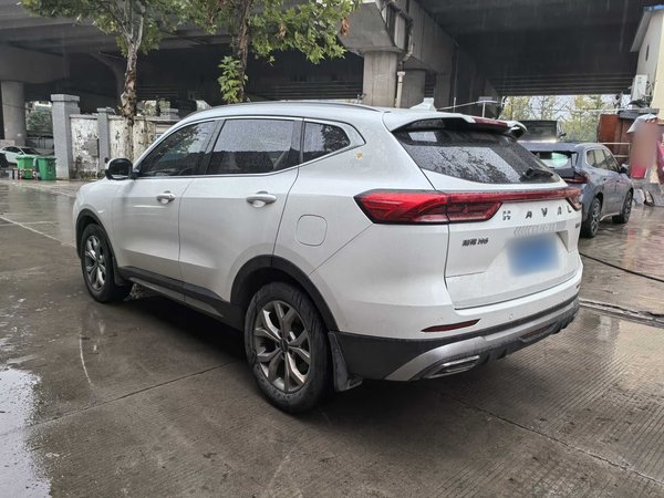 Haval H6 2021 National Trend Edition 1.5T Automatic Champion Version, 2021 года
