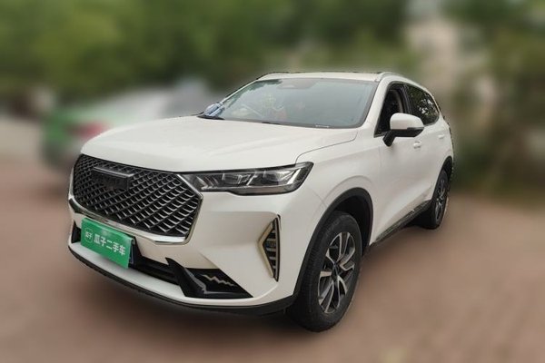 Haval H6 · 2022 год